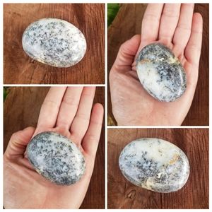 Dendritic Agate Palmstone